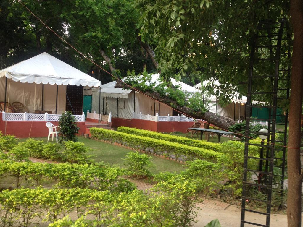 The Aravali Tent Resort Udaipur Kamer foto